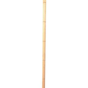 伝蔵 竹 建仁寺 1.8M ( J022 )｜orangetool