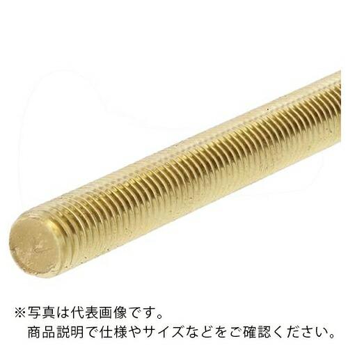 SUNCO ECO-BS寸切ボルト M20X1000 (1本入) ( C1-01-10C0-0200...