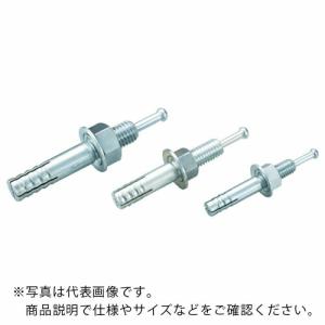 UNIKA ルーティアンカー Cタイプ(三価クロメート)  ( C-660 )(50本セット)｜orangetool