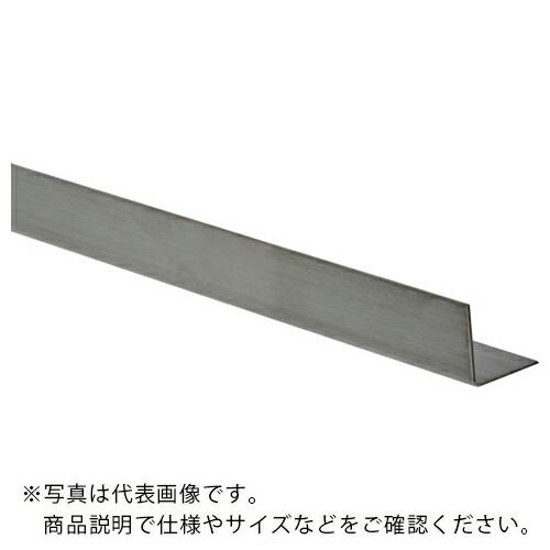 TRUSCO ステンレスアングル 厚み1 30×30×1000mm SUS304 ( SAG-303...