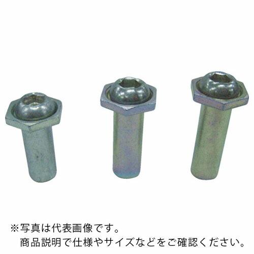 エビ パック入りSTロック(8本入)スティール 10-16 ( CNSH1016P ) (株)ロブテ...