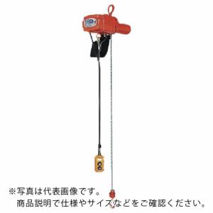 象印 単相100V小型電気チェーンブロック(1速型)100kg・6m (αS-01  6m) ( AS-K1060 ) 象印チェンブロック(株)｜orangetool