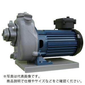 TERADA 陸上ポンプ セルプラポンプ 全閉外扇屋外形電動機付 60Hz三相200 全揚程9.5m ( MP3N-0041TR 60HZ ) (株)寺田ポンプ製作所 (メーカー取寄)｜orangetool