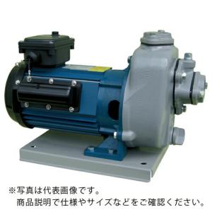 TERADA 陸上ポンプ セルプラポンプ 全閉外扇屋外形電動機付 50Hz 単相100 全揚程17m ( MPT2-0041R 50HZ ) (株)寺田ポンプ製作所 (メーカー取寄)｜orangetool