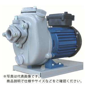 TERADA 陸上ポンプ セルプラポンプ 全閉外扇屋外形電動機付 60Hz 三相200 全揚程21m ( MPT3-0071R 60HZ ) (株)寺田ポンプ製作所 (メーカー取寄)｜orangetool