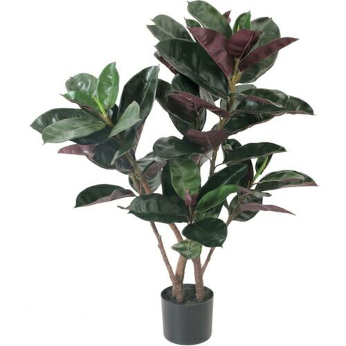 グリーンクロス　フィカスバーガンディーポット　全長１００ｃｍ ( 6300029252 ) (メーカ...