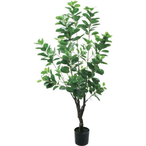 グリーンクロス アポロゴム 全長115cm  ( 6300029254 ) (株)グリーンクロス (...