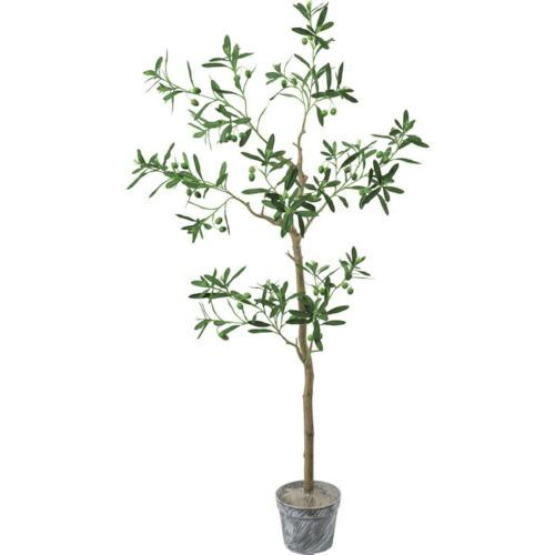 グリーンクロス ジョイントオリーブツリーセット 全長130cm  ( 6300029187 ) (株...