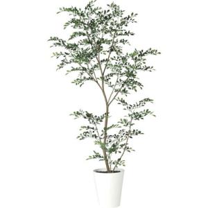 グリーンクロス トネリコ1.8m  ( 6300029338 ) (株)グリーンクロス (メーカー取寄)｜orangetool