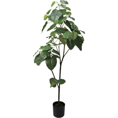 グリーンクロス ウンベラータ 全長180cm  ( 6300029234 ) (株)グリーンクロス ...