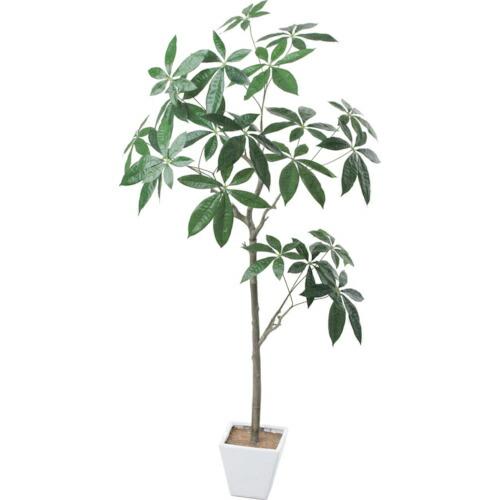 グリーンクロス パキラツリー 全長150cm  ( 6300029204 ) (株)グリーンクロス ...
