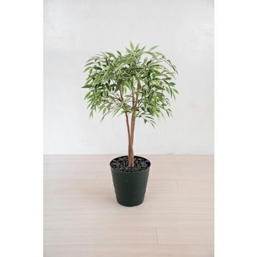 グリーンクロス 人工樹木/人工観葉植物 シラカシ  ( 6300028760 ) (株)グリーンクロ...