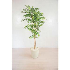 グリーンクロス 人工樹木/人工観葉植物 フランスベンジャミン 160cm  ( 6300028769 ) (株)グリーンクロス｜orangetool