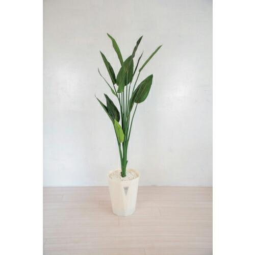 グリーンクロス 人工樹木/人工観葉植物 ストレチア  ( 6300028786 ) (株)グリーンク...