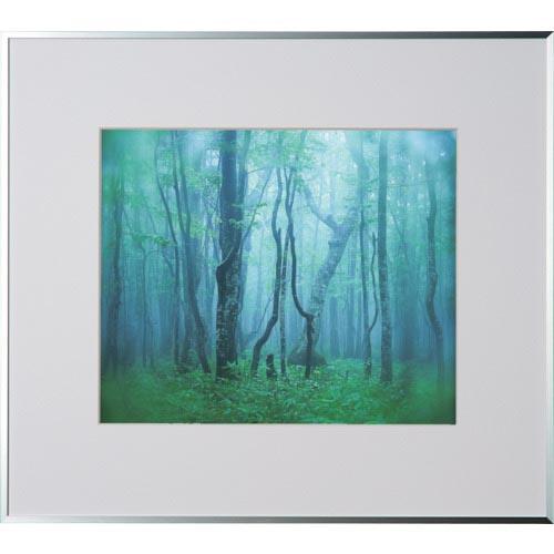 Kenko 1250142 アルミ額縁 ギャラリー 4切 シルバー ( AGY-4-SV ) (株)...