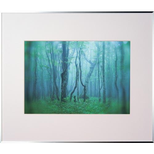 Kenko 1250148 アルミ額縁 ギャラリー A3 シルバー ( AGY-A3-SV ) (株...