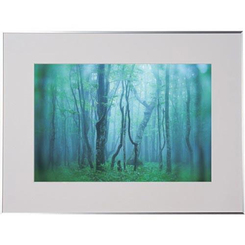 Kenko 1250149 アルミ額縁 ギャラリー A3ノビ シルバー ( AGY-A3N-SV )...