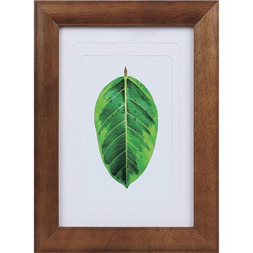 【SALE価格】Kenko 1250173 写真立て ゴムの木 ブラウン  ( PS-GM-BR )