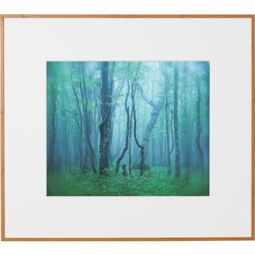 Kenko 1250154 アルミ額縁 ギャラリー 4切 ナチュラル ( AGY-4-NA ) (株...