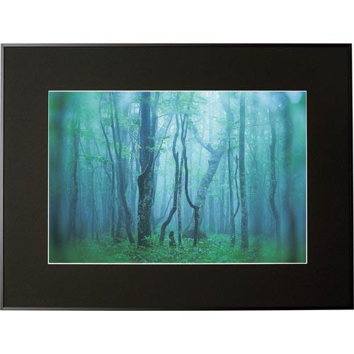 Kenko 1250137 アルミ額縁 ギャラリー A3ノビ ブラック ( AGY-A3N-BK )...