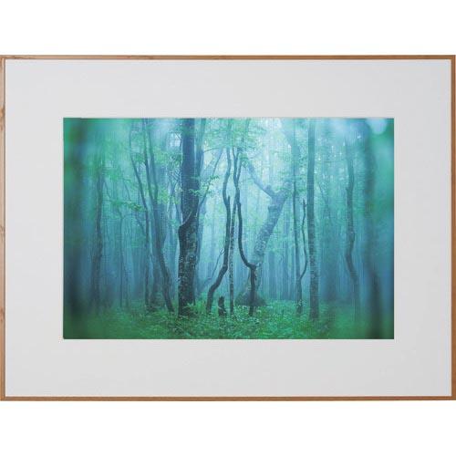 Kenko 1250161 アルミ額縁 ギャラリー A3ノビ ナチュラル ( AGY-A3N-NA ...