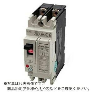 三菱電機 ノーヒューズ遮断器 Fstyle NF-Sシリーズ (汎用品) ( NF32-SVF 2P 20A ) 三菱電機(株)｜orangetool