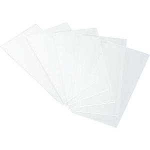 TRUSCO 溶接用透明プラスチックカバープレート 2枚入 ( P-TPCCS ) トラスコ中山(株)｜orangetool