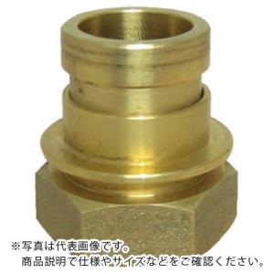 IWA 黄銅製 町野式媒介金具 E105 町野オス×ガスネジメス(PTネジ) ( 36E025B ) (株)岩崎製作所 (メーカー取寄)｜orangetool