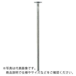 WAKAI 大頭釘 5×200  ( 7205200 )｜orangetool