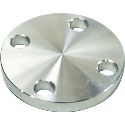 FLOBAL SUS304 5K 閉止フランジ 14100553 ( SUS-5K-BL-FF-15...