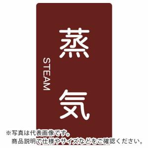 TRUSCO 配管用ステッカー 蒸気 縦 極小 5枚入 ( TPS-STT-SS ) トラスコ中山(株)｜orangetool