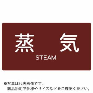 TRUSCO 配管用ステッカー 蒸気 横 極小 5枚入 ( TPS-STY-SS ) トラスコ中山(株)｜orangetool