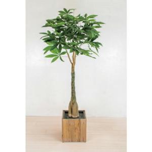 グリーンクロス 人工樹木/人工観葉植物 パキラ  ( 6300033755 )｜orangetool