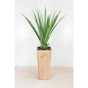 グリーンクロス 人工樹木/人工観葉植物 パンダヌス  ( 6300033757 )｜orangetool