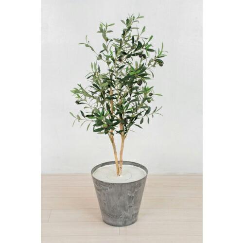 グリーンクロス 人工樹木/人工観葉植物 オリーブ  ( 6300033751 ) (株)グリーンクロ...