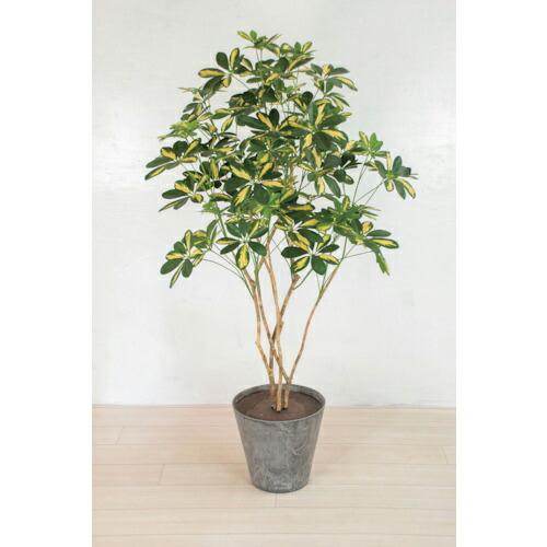 グリーンクロス 人工樹木/人工観葉植物 シェフレラ  ( 6300033759 ) (株)グリーンク...