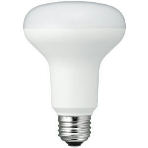 HATAYA 45W LED電球 LDR45N-H110 【公式通販】