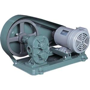 NK ギヤーポンプ(電動機連結型) 口径20A ( KAS06 (3/4)(20ミリ) ) (株)亀嶋鐵工所 (メーカー取寄)｜orangetool