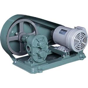 NK ギヤーポンプ(電動機連結型) 口径25A ( KAS10 (1)(25ミリ) ) (株)亀嶋鐵工所 (メーカー取寄)｜orangetool