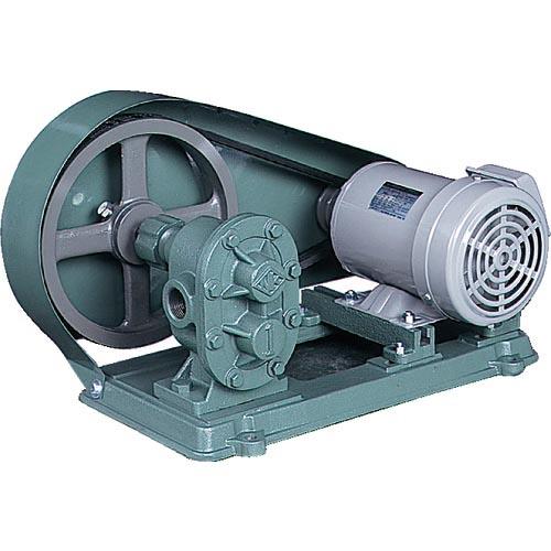 NK ギヤーポンプ(電動機連結型) 口径25A ( KAS10 (1)(25ミリ) ) (株)亀嶋鐵...