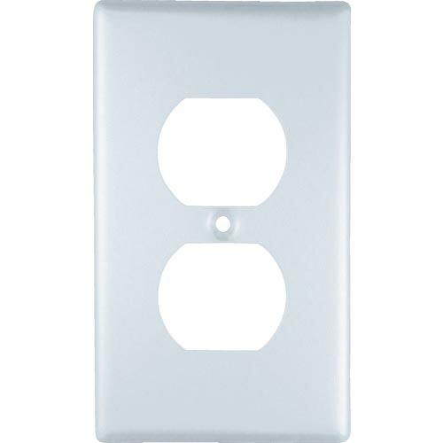 アメリカン電機 新金プレ-ト 複式1ケ用 ( V41A ) アメリカン電機(株)