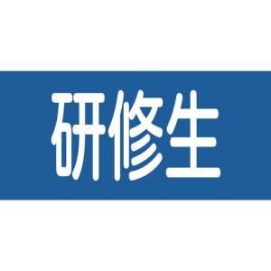 緑十字 ピンレスゴム腕章 研修生 GW-13M 95mm幅×腕まわり約320mm Mサイズ ( 139713 ) (株)日本緑十字社｜orangetool