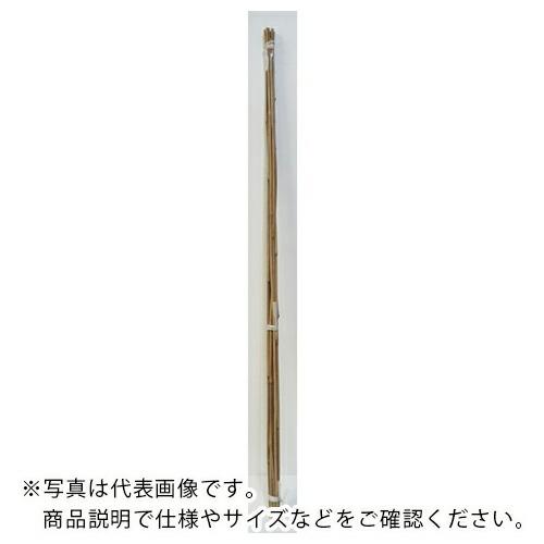 伝蔵 園芸支柱180cm10本束 ( J074 )