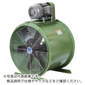 スイデン 軸流ベルトファン SAXV ダクト用送排風機  ( SAXV-610-60HZ )｜orangetool