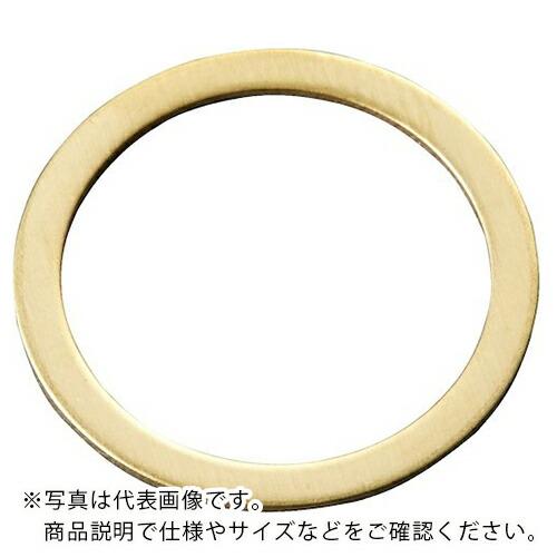 IWATA ( 岩田製作所 )　シムリングＣＵＺＮ　（１０枚入）Ｔ１．０ ( RB050055100...