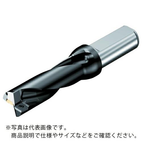 SANDVIK 刃先交換式ドリル スーパーUドリル(465) ( 880-D1650L20-02 (...