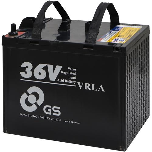 育良 IS-160CBA用バッテリー (42074) ( 160CBA BATTERY 36V )