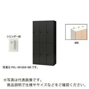 NAIKI ( ナイキ )　パーソナルロッカー（６人用）　ポッケ　ＰＫＬ型　ラージタイプ　シリンダー錠 ( PKL-09186-WS )