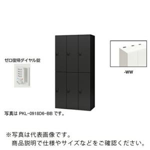 NAIKI ( ナイキ )　パーソナルロッカー（６人用）　ポッケ　ＰＫＬ型　ラージタイプ　ゼロ復帰ダイヤル錠 ( PKL-0918DR6-WW )