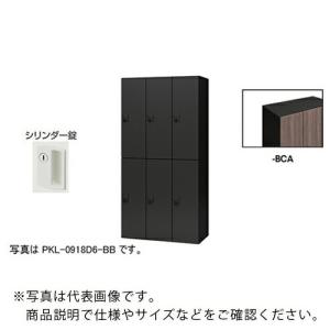 NAIKI ( ナイキ )　パーソナルロッカー（６人用）　ポッケ　ＰＫＬ型　ラージタイプ　シリンダー錠 ( PKL-09186-BCA )